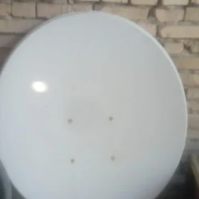 kici antena