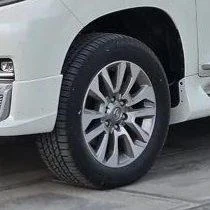 Prado diska R19