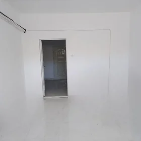 arenada podwal