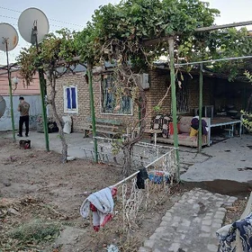 satlyk daca ayraport