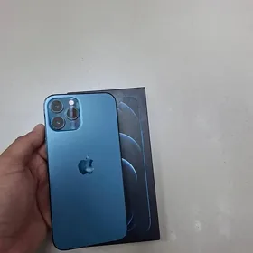12 pro max
