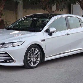 Toyota Camry 2019