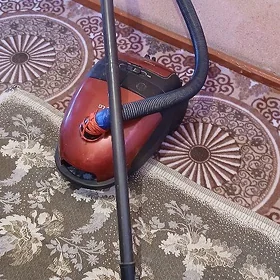 Tozan sorujy (Plesos) LG