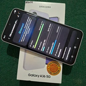A 36 8/256
