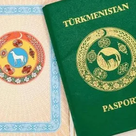 Pasport ýitdi