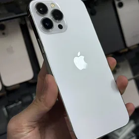 iPhone 13Pro Max