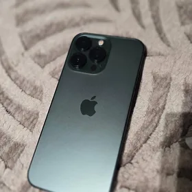 13 pro