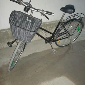 ýaponski tigir
