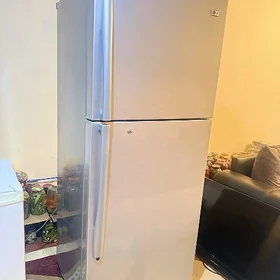 LG HOLODINIK