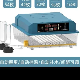 inkubator enkewator