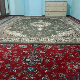 bir uly komnat arenda
