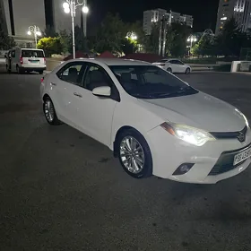 Toyota Corolla 2014