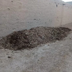 Maliñ dersi