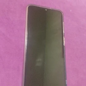 a13