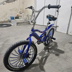tigir olimpiya