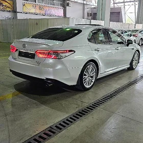 Toyota Camry 2020