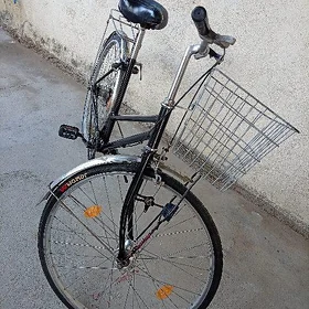 ÝAPONSKI TIGIR