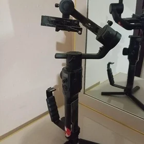 Ronin