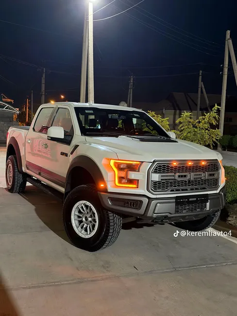 Ford F-150 Lightning 2021 - 1
