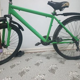 Turkmenistan welik