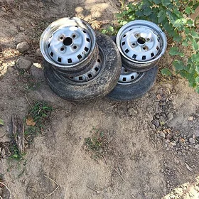 13 lık dısga