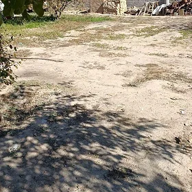 Satlyk mellek