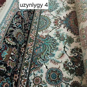 eyran haly