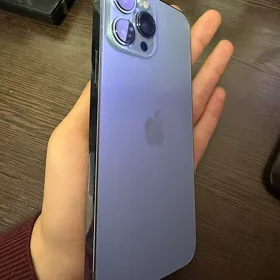 13 pro Max