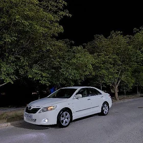 Toyota Camry 2010