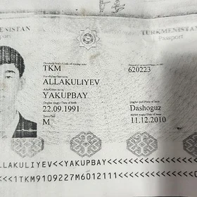 pasport yitdi