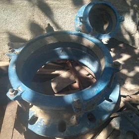 turba seblamne