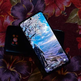 POCO X3 PRO