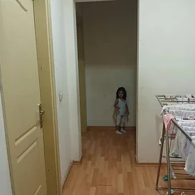 Gogol poluelitka 4 kom 1 etaj