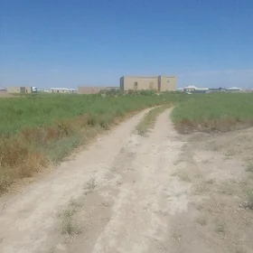 Mellek