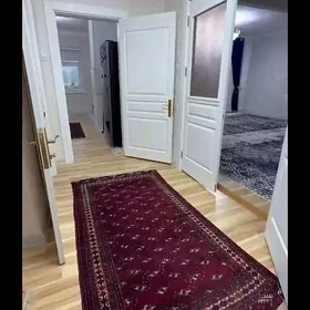 Elitka T-şy şaÿoly