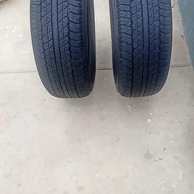 teker ayak