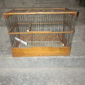 kletka, клетка ketek kepderi