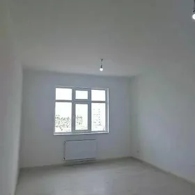 Eyesinden Ănew Bos jay Gerek