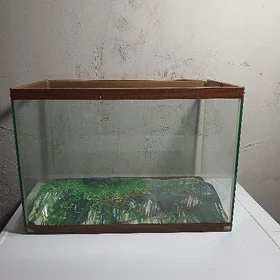akwarium
