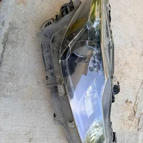 Corolla fara