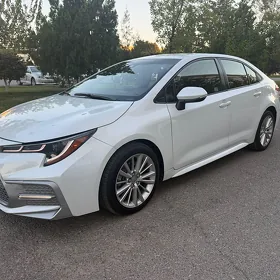 Toyota Corolla 2022