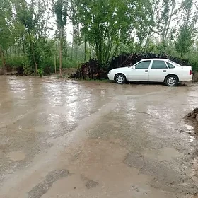 Opel Vectra 1995