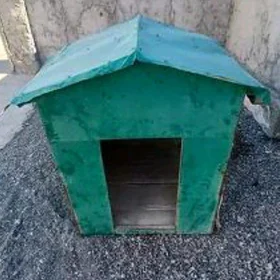 it ketek güjvk ýatak