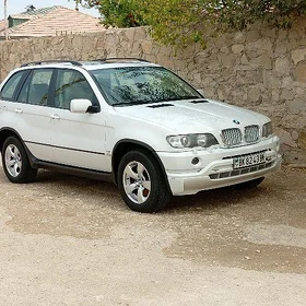 BMW X5 2001