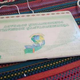 kompyuter
