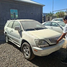 Lexus RX 300 2001