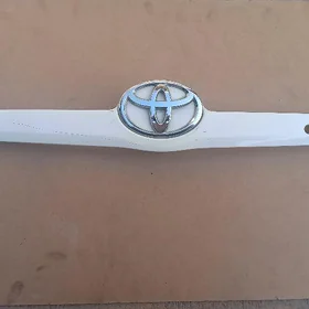 CAMRY BAGAŽ NIKIL OKUZ KELLE