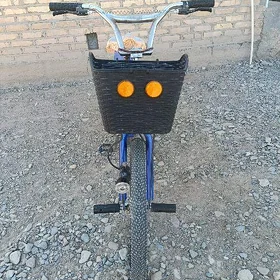 tigir