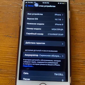 iPhone