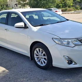 Toyota Camry 2013